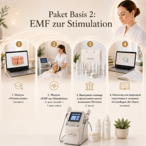 Paket Basis 2: EMF zur Stimulation