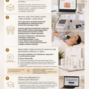 Paket Basis 2: EMF zur Stimulation